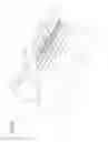 Fig. 07 - Catheter assembly