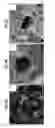 Fig. 09 - Synthesizing highly porous nanoparticles