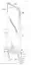 Fig. 01 - Non-forged hammermill hammer