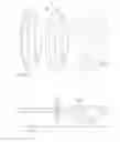 Fig. 09 - ATOMIZING NOZZLE DEVICE, ATOMIZED FLUID AND USE OF THE SAME