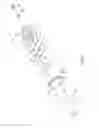 Fig. 02 - Ratchet screwdriver
