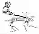 Fig. 01 - System for Humanized Control of Quadruped Bionic Robot and Control Method Thereof