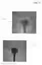 Fig. 12 - Razor assembly