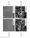 Fig. 06 - Plastic-metal junctions and methods of making the same