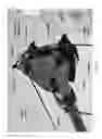 Fig. 44 - PORTABLE DERRICK SYSTEM, APPARATUS & METHODS