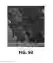 Fig. 09 - Mechanically robust aerogels and preparation method thereof