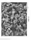 Fig. 02 - Alumina products and uses thereof in polymer compositions with high thermal conductivity