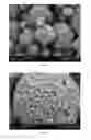 Fig. 02 - Production of amorphous calcium carbonate
