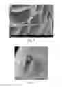 Fig. 05 - Preparation method and application of tetragonal NaVO⋅HO nanosheet-like powder