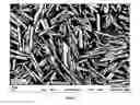 Fig. 02 - INJECTABLE RESORBABLE BONE GRAFT MATERIAL, POWDER FOR FORMING SAME AND  METHODS RELATING THERETO FOR TREATING BONE DEFECTS