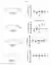 Fig. 09 - Small molecule inhibitors of shared epitope-calreticulin interactions and methods of use