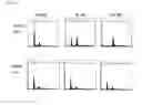 Fig. 02 - Heterocyclic compound and pharmaceutical composition comprising same