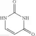 Fig. 06 - Pro-Neurogenic Compounds