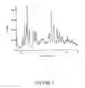 Fig. 02 - PHARMACEUTICAL COMPOSITIONS COMPRISING POLYMORPHIC FORMS ALPHA, BETA, AND GAMMA OF RIFAXIMIN