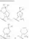 Fig. 32 - 5-SUBSTITUTED AZABENZIMIDAZOLE DERIVATIVE HAVING ???? ACTIVATION ACTION