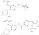 Fig. 982 - MK2 inhibitors and uses thereof