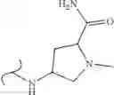 Fig. 303 - Polyene macrolide derivative