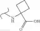 Fig. 449 - Polyene macrolide derivative