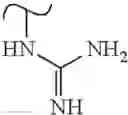 Fig. 522 - Polyene macrolide derivative