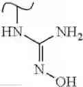 Fig. 596 - Polyene macrolide derivative