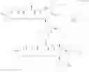 Fig. 72 - Polyene macrolide derivative
