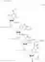 Fig. 147 - Method for liquid-phase synthesis of nucleic acid