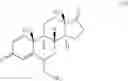 Fig. 06 - 6-substituted estradiol derivatives and methods of use