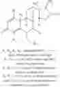 Fig. 25 - 6-substituted estradiol derivatives and methods of use