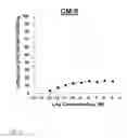 Fig. 07 - NDMA RECEPTOR MODULATORS AND USES THEREOF