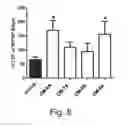 Fig. 17 - NDMA RECEPTOR MODULATORS AND USES THEREOF
