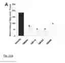 Fig. 20 - NDMA RECEPTOR MODULATORS AND USES THEREOF