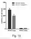 Fig. 24 - NDMA RECEPTOR MODULATORS AND USES THEREOF