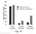 Fig. 27 - NDMA RECEPTOR MODULATORS AND USES THEREOF