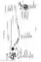 Fig. 04 - Agonist agents of CD47 inducing programmed cell death and their use in the treatments of diseases associated with defects in programmed cell death