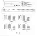 Fig. 06 - Compositions and methods for treating diseases by inhibiting exosome release