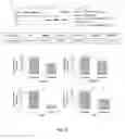Fig. 07 - Compositions and methods for treating diseases by inhibiting exosome release