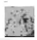 Fig. 07 - Stabilised FMDV capsids