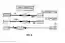 Fig. 07 - TRI-SEGMENTED PICHINDE VIRUSES AS VACCINE VECTORS