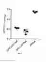 Fig. 08 - TRI-SEGMENTED PICHINDE VIRUSES AS VACCINE VECTORS