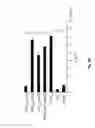 Fig. 06 - Antigen-specific helper T-cell receptor genes