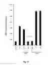 Fig. 08 - Antigen-specific helper T-cell receptor genes