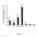 Fig. 09 - Antigen-specific helper T-cell receptor genes