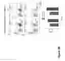 Fig. 09 - COMPOUND CHIMERIC ANTIGEN RECEPTOR (cCAR) TARGETING MULTIPLE ANTIGENS, COMPOSITIONS AND METHODS OF USE THEREOF