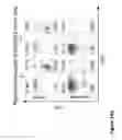 Fig. 37 - COMPOUND CHIMERIC ANTIGEN RECEPTOR (cCAR) TARGETING MULTIPLE ANTIGENS, COMPOSITIONS AND METHODS OF USE THEREOF