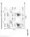 Fig. 41 - COMPOUND CHIMERIC ANTIGEN RECEPTOR (cCAR) TARGETING MULTIPLE ANTIGENS, COMPOSITIONS AND METHODS OF USE THEREOF