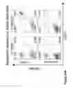 Fig. 47 - COMPOUND CHIMERIC ANTIGEN RECEPTOR (cCAR) TARGETING MULTIPLE ANTIGENS, COMPOSITIONS AND METHODS OF USE THEREOF