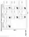 Fig. 53 - COMPOUND CHIMERIC ANTIGEN RECEPTOR (cCAR) TARGETING MULTIPLE ANTIGENS, COMPOSITIONS AND METHODS OF USE THEREOF