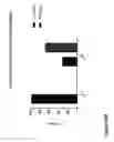 Fig. 64 - COMPOUND CHIMERIC ANTIGEN RECEPTOR (cCAR) TARGETING MULTIPLE ANTIGENS, COMPOSITIONS AND METHODS OF USE THEREOF