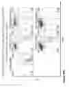 Fig. 77 - COMPOUND CHIMERIC ANTIGEN RECEPTOR (cCAR) TARGETING MULTIPLE ANTIGENS, COMPOSITIONS AND METHODS OF USE THEREOF
