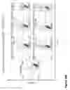 Fig. 79 - COMPOUND CHIMERIC ANTIGEN RECEPTOR (cCAR) TARGETING MULTIPLE ANTIGENS, COMPOSITIONS AND METHODS OF USE THEREOF